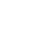 Govin_Group_logo_white